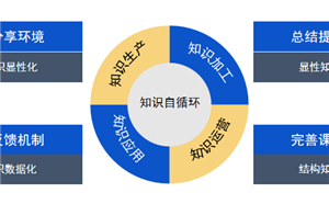 企业内生资源建设O2O学习项目实践解析