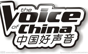 和中国好声音导演学做培训吧