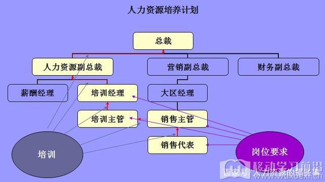 人力资源发展与职业生涯规划体系